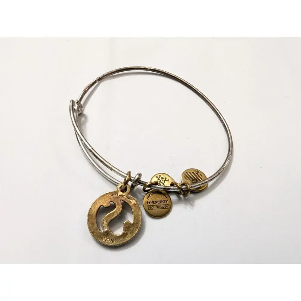 Alex & Ani Initial Letter S Charms Two-Tone‎ Bracelet Non-Magnetic Cut Out